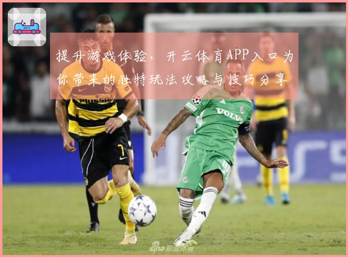 提升游戏体验,开云体育APP入口为你带来的独特玩法攻略与技巧分享