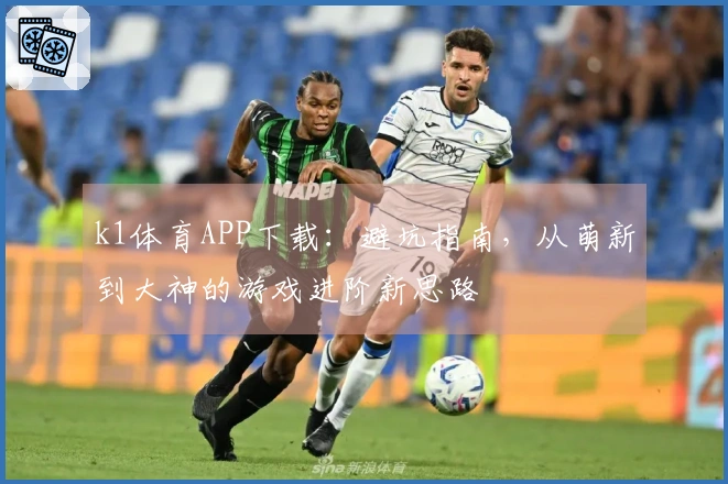k1体育APP下载：避坑指南，从萌新到大神的游戏进阶新思路